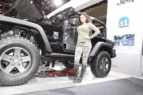 Detroit Auto Show Girls